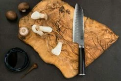 EGO VG-10 Santoku Knife 18 Cm -Keukengerei Winkel ego vg 10 knife set 3 pcs 2