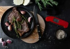 Thermapen One Thermometer, Groen -Keukengerei Winkel eti thermapen one thermometer 62