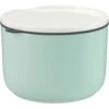 Villeroy & Boch ToGo&ToStay Lunchbox Groen, 13x9,5 Cm -Keukengerei Winkel villeroy boch togotostay lunchbox groen 13x95 cm 0