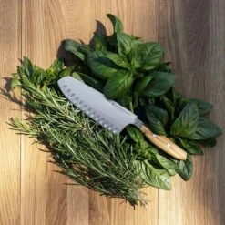 Wüsthof Amici Santokumes 17 Cm -Keukengerei Winkel wusthof amici santokumes 17 cm 1