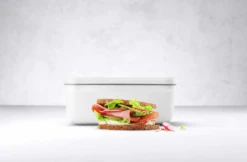 Zwilling Fresh & Save Lunchbox Plastic, 15x22 Cm / 1.6 L -Keukengerei Winkel zwilling fresh save lunchbox plastic 22